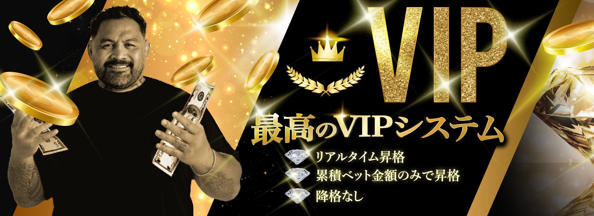 VIP　最高のVIPシステム